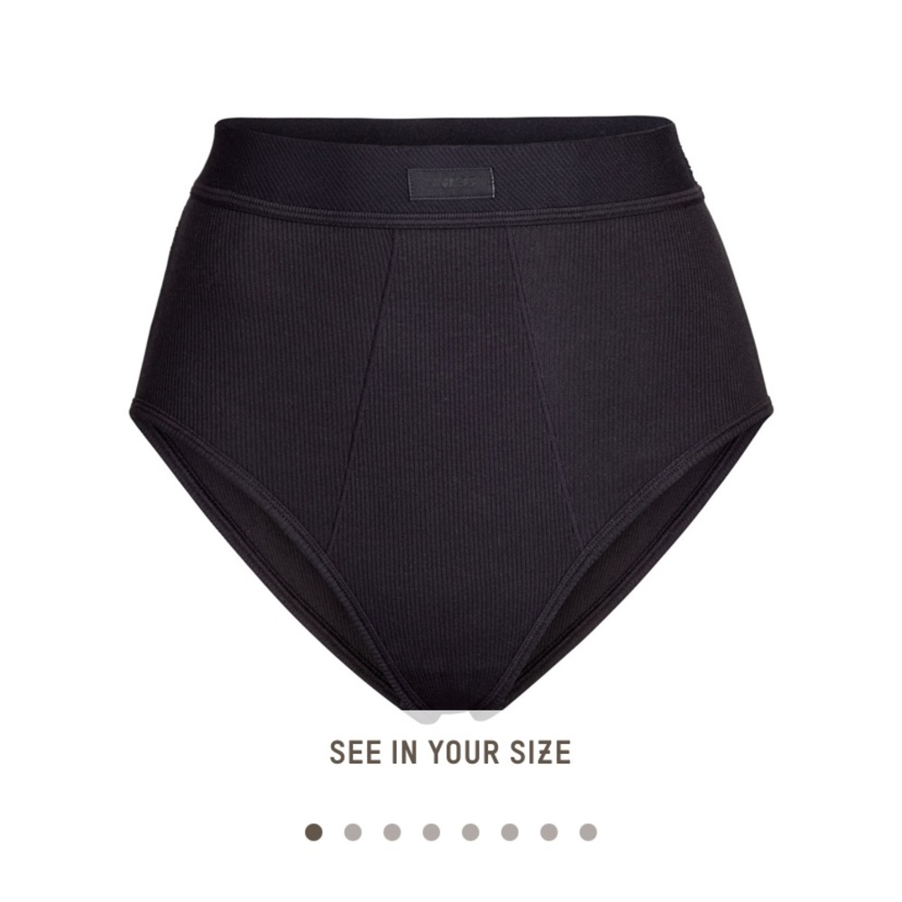 SKIMS Cotton Rib Brief in Soot Size Small